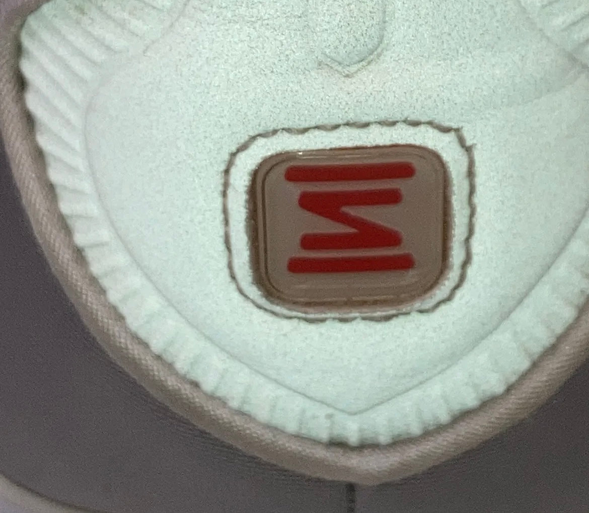 Nike shox TL Silber/weiß